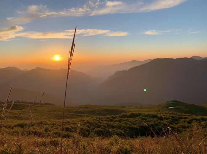 Tìm đến Qingjing Farm, điểm đến mang lại sự bình yên giữa núi Nam Đầu