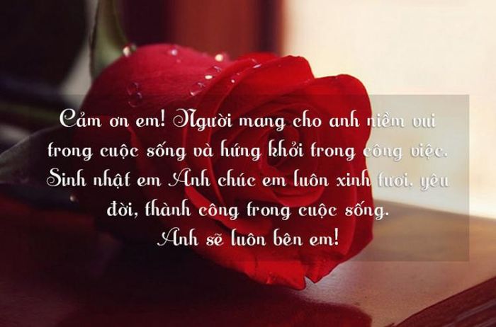 Lời chúc sinh nhật vợ