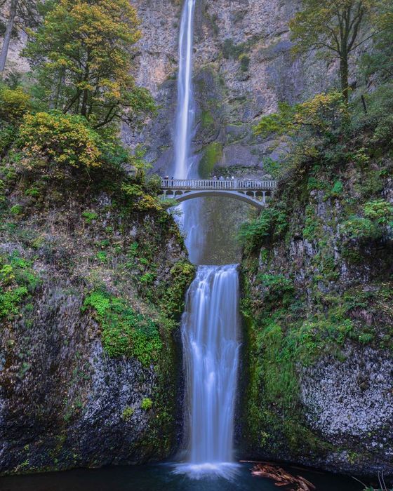 Bí quyết du lịch Portland, thành phố hoa hồng lãng mạn 4