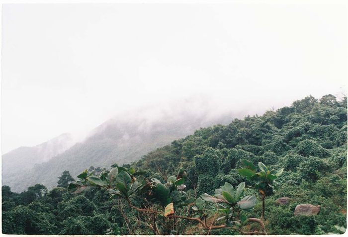 Hải Vân Pass in the Cold Season - Have You Experienced This Yet? 3