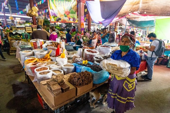 Oaxaca thung lũng phát sáng với văn hóa bản địa đặc trưng của Mexico.