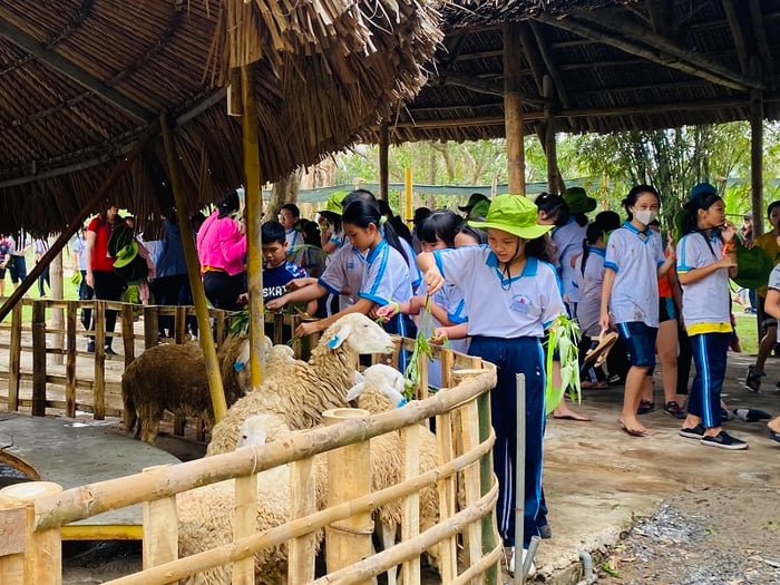 Làng du lịch Tre Việt Đồng Nai, điểm đến lý tưởng vào cuối tuần 3