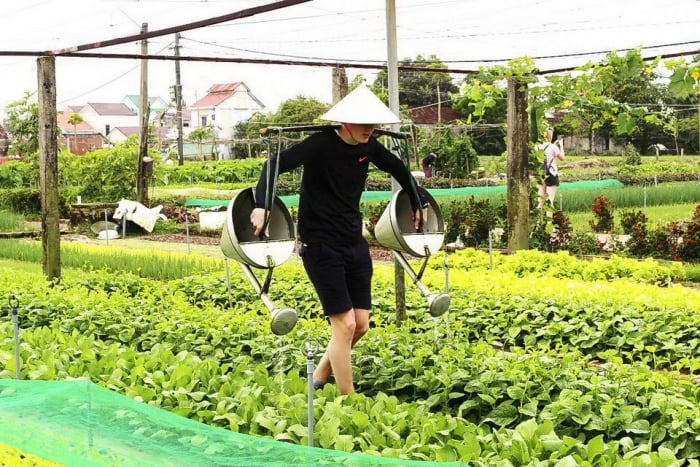 Làng rau Trà Quế