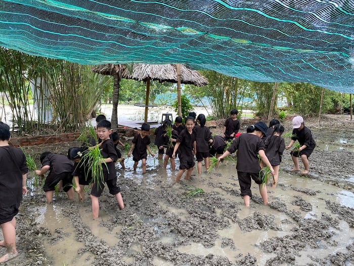 Làng du lịch Tre Việt Đồng Nai, điểm đến lý tưởng vào cuối tuần 14