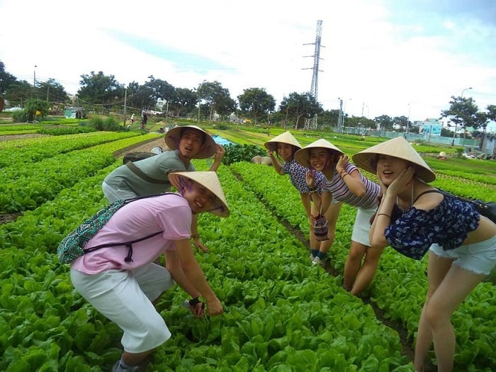 Làng rau Trà Quế truyền thống