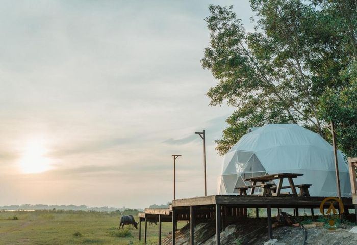 The Emma Glamping - điểm cắm trại view siêu thư giãn 5