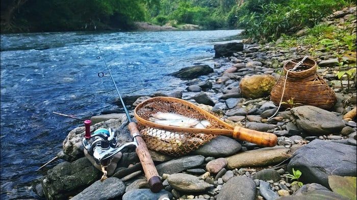 Bí mật của suối Tranh Phú Quốc