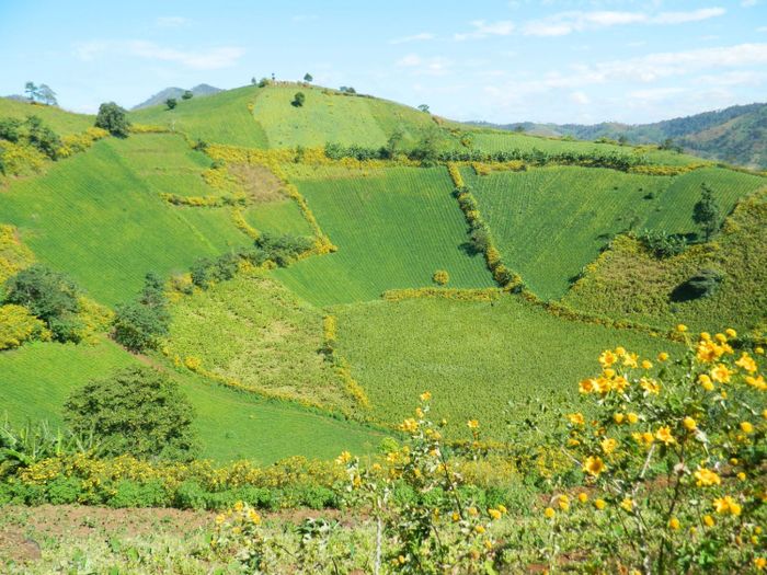 Chư Đăng Ya - Điểm đến tuyệt vời nhất ở phố núi