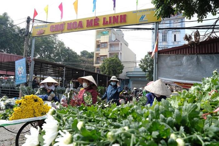 Chợ hoa Hà Nội