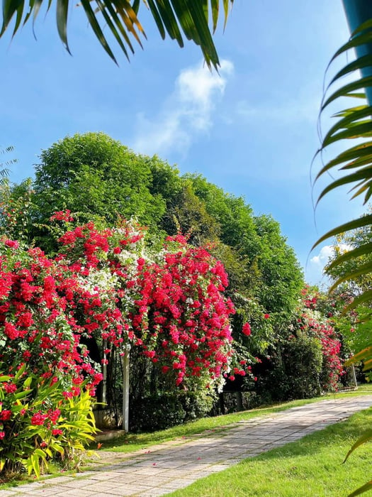 Khu du lịch Thảo Thiện Garden - điểm lý tưởng cho kỳ nghỉ tại Đồng Nai