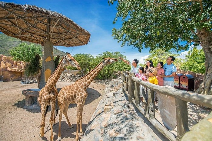 du lịch Nha Trang Đà Nẵng