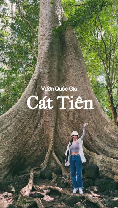 Vườn Quốc gia Nam Cát Tiên sẽ khiến bạn ngỡ ngàng với cảnh quan thiên nhiên tuyệt đẹp.