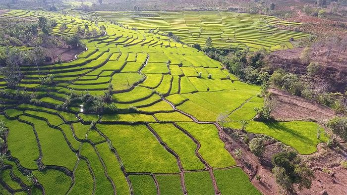 Ruộng bậc thang Đak Tơ Pê và vẻ đẹp hoang sơ của vùng đất miền núi Gia Lai