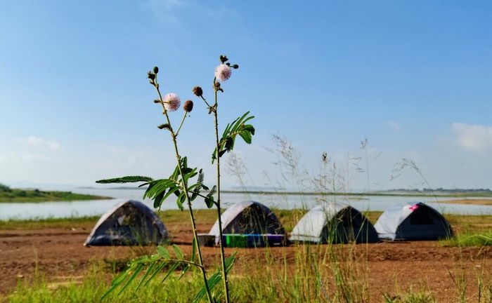 Thư giãn cùng trải nghiệm cắm trại tại Hồ Trị An với phong cảnh lãng mạn êm đềm 10