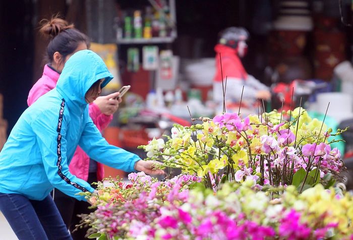 Chợ hoa Hà Nội