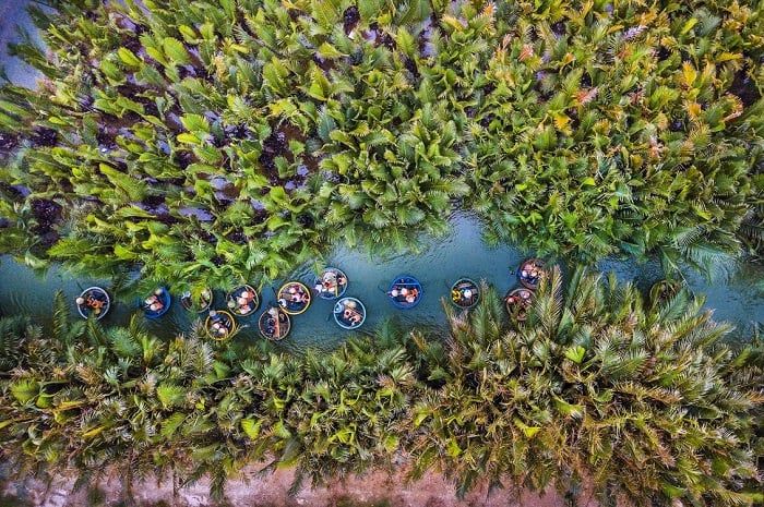 Rừng nguyên sinh màu mỡ trải dài