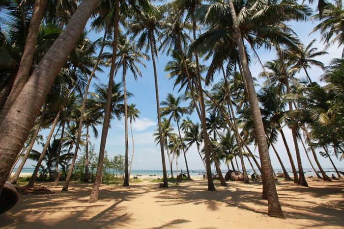 Trải nghiệm du lịch ở Núi Thành, Quảng Nam và những điều không thể bỏ lỡ