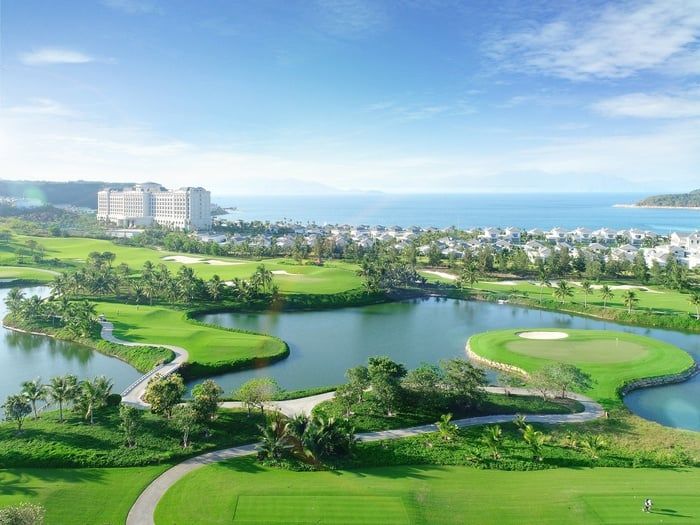 Khám Phá Mực Rim Me Nha Trang