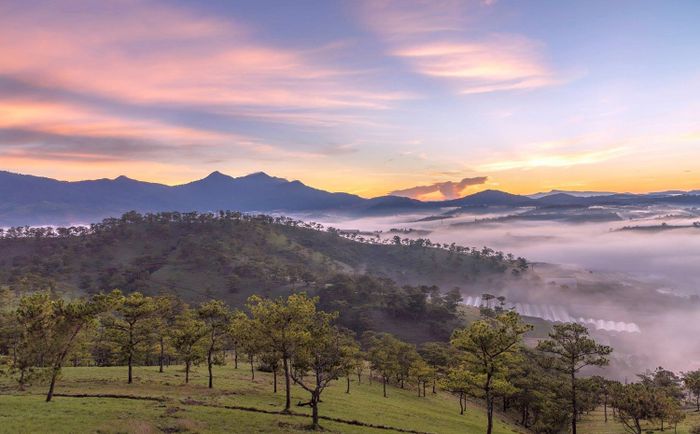 Trải nghiệm săn mây Đà Lạt tại top 8 địa điểm lý tưởng này thật tuyệt vời!