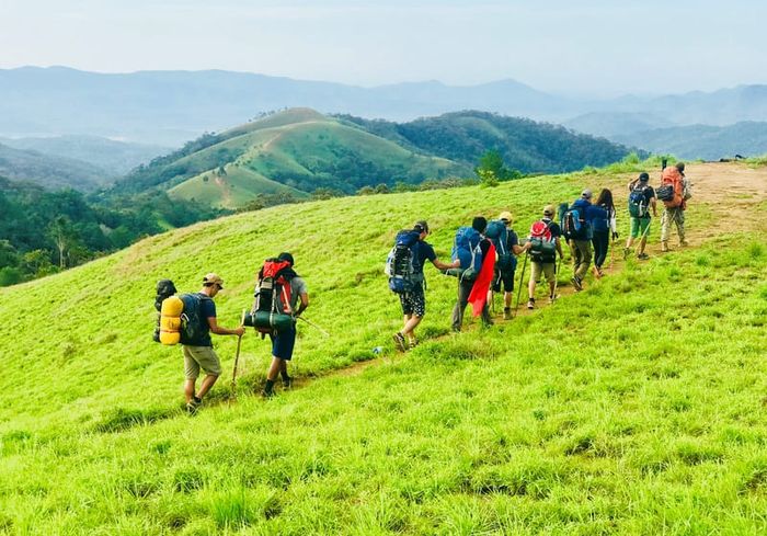 Tà Năng Phan Dũng, con đường trekking mê mẩn của hàng ngàn người