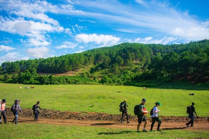 Tà Năng Phan Dũng, điểm đến của những người yêu thích trekking