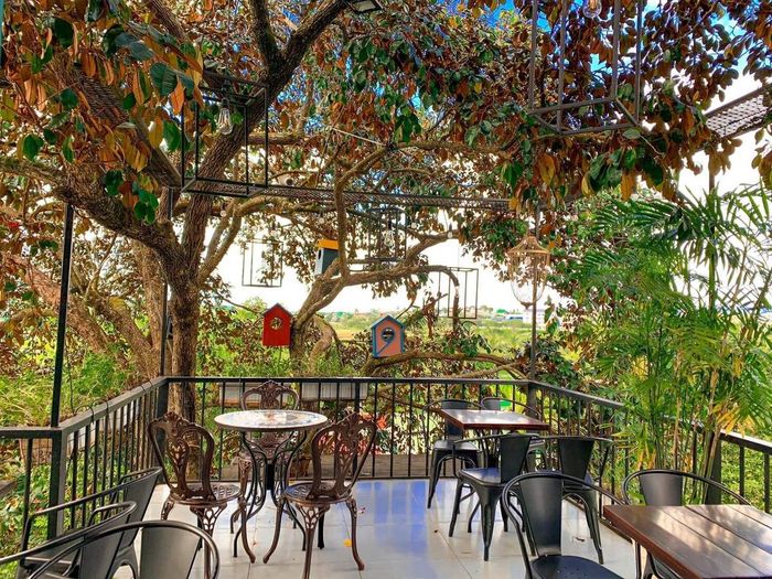 Ngon Avatar Coffee Garden Teahouse, một địa điểm cà phê đẹp tại Pleiku 5