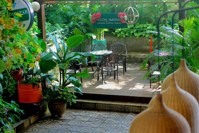 Ngon Avatar Coffee Garden Teahouse, một địa điểm cà phê đẹp tại Pleiku 14