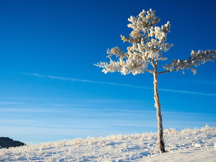 Du lịch Kazakhstan, vùng đất của thảo nguyên trải dài với vó ngựa phi nước đại.