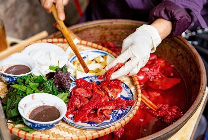 sứa đỏ Hải Phòng