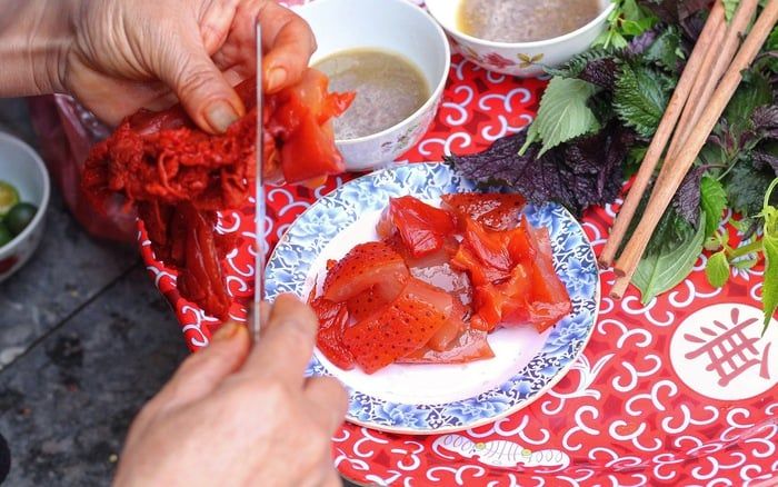 sứa đỏ Hải Phòng