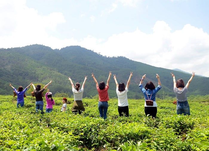 Đồi chè Đông Giang