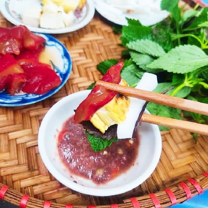 sứa đỏ Hải Phòng