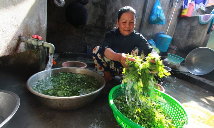 Quán mì quảng Phú Chiêm Pleiku - địa điểm nổi tiếng lần thứ 4