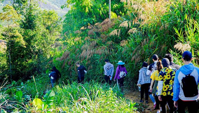 Ngất ngây tại Up Base Camp với khung cảnh núi rừng thơ mộng 2