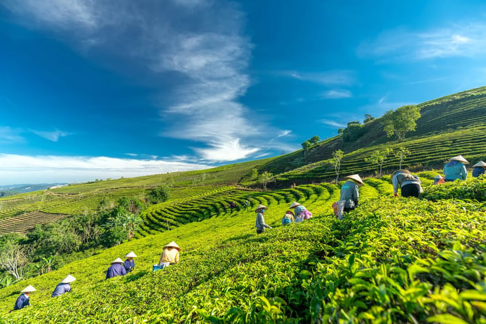 Những kinh nghiệm hữu ích khi du lịch Đà Lạt từ Sài Gòn 18