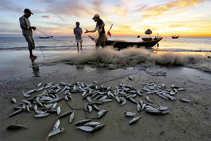 Bãi biển Kỳ Ninh