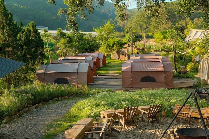 Lưu ngay top 10 điểm trại glamping Đà Lạt siêu chill 14