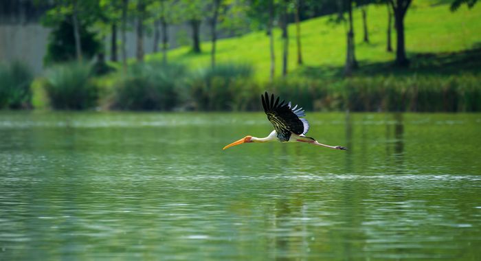 Khám phá Putrajaya - Thành phố mới của Malaysia