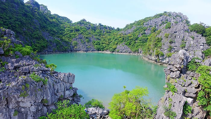 Vịnh Bái Tử Long