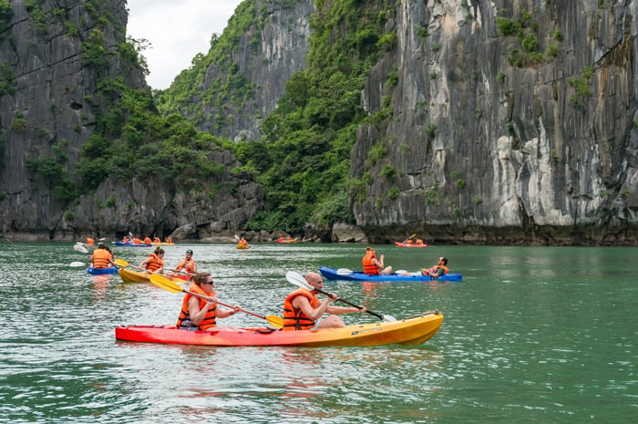 Vịnh Bái Tử Long