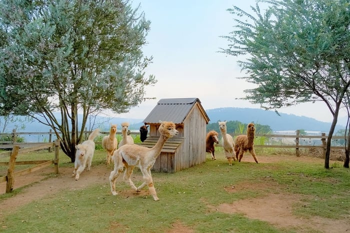 Sở thú Đà Lạt