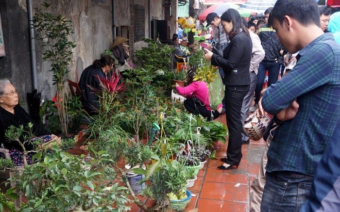 Thị trường Hải Phòng