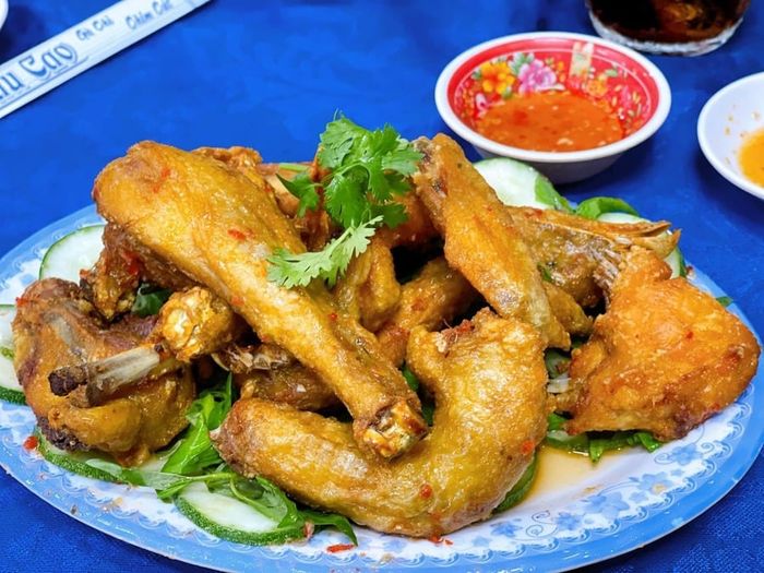 Gà chỉ Sáu Cao