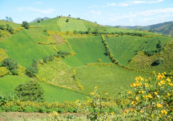 Chia sẻ bí quyết khám phá núi lửa Chư Đăng Ya đầy đủ 5