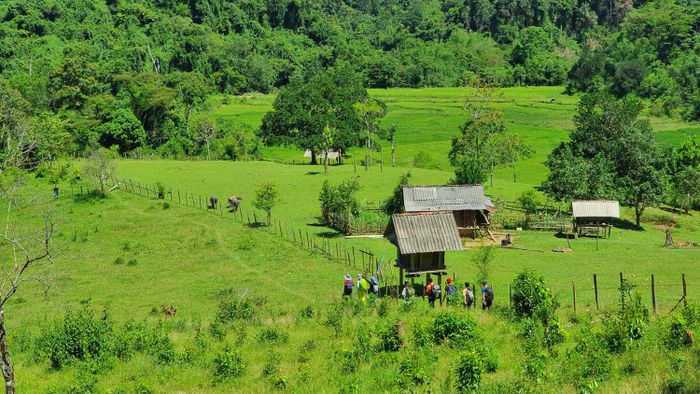 Chinh phục thác K50 đẹp kỳ vĩ trên vùng cao Gia Lai 2