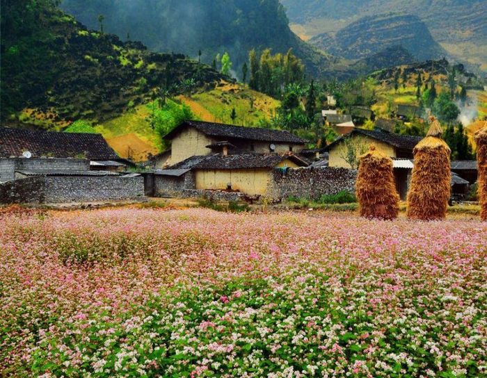 Top những địa điểm du lịch Hà Giang mà nhiều bạn trẻ thích ghé thăm 3