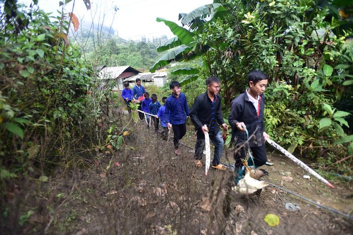 Khám phá về người Phù Lá ở Hoàng Su Phì - Hà Giang 3