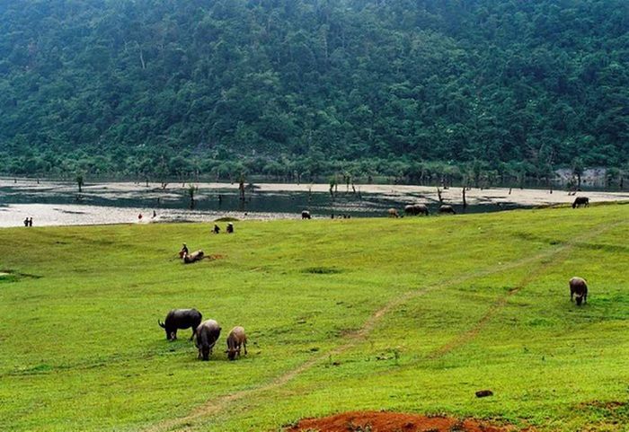 Hồ Noong - Nơi kết nối thiên nhiên và con người 10