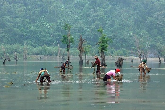 Hồ Noong - Nơi kết nối giữa thiên nhiên và con người 8