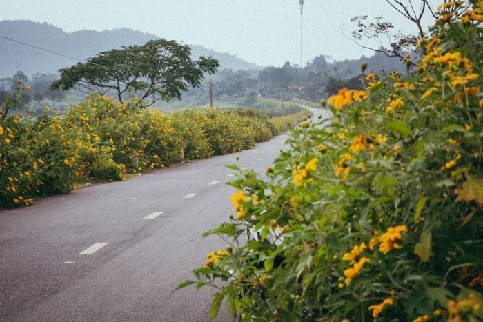 Trải nghiệm Hành trình Du lịch Ba Vì trong 2 ngày 1 đêm